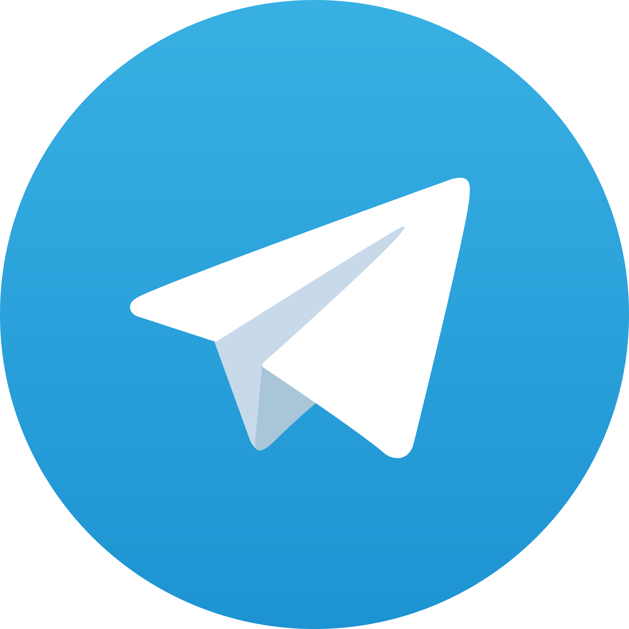 The circular Telegram logo (messaging platform)